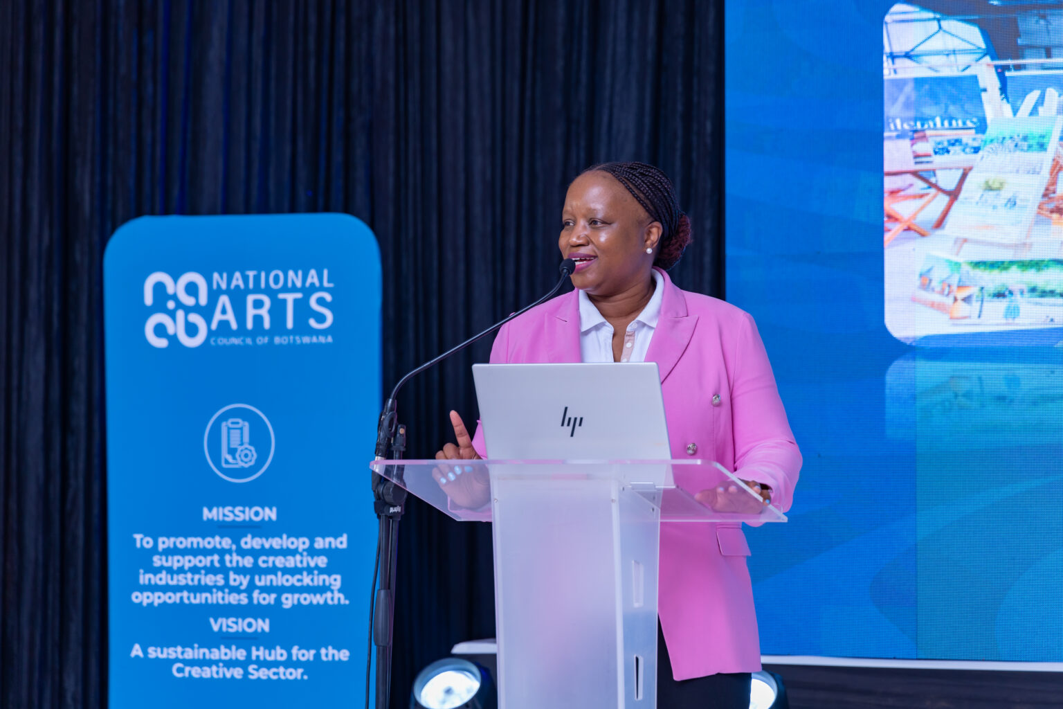 National Arts Council Faces Turbulence Over CEO Appointment Amid Ongoing Legal Dispute